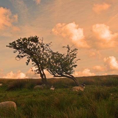 乐鱼·(LEYU)体育官方网站