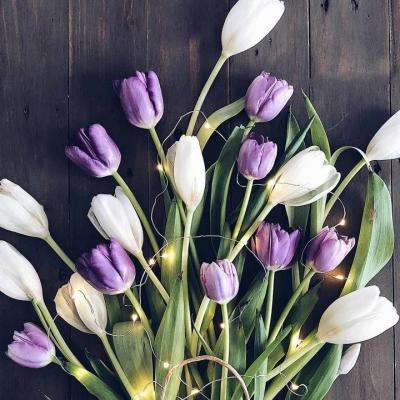 环球体育官方登录入口